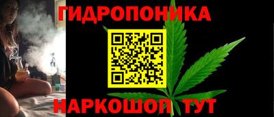ПСИЛОЦИБИНОВЫЕ ГРИБЫ Канаш