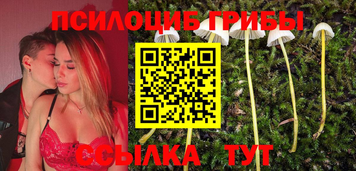 Галлюциногенные грибы мицелий Кувандык